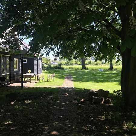 Ijsselmeer Lake Houses Andijk Eksteriør billede